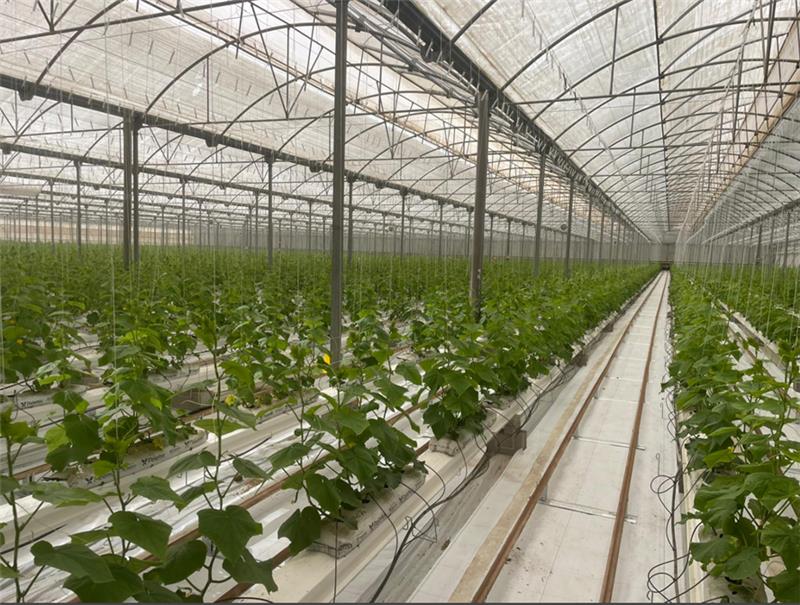 Publicidad institucional 04